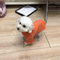 HKM-1316285 Teddy Cat and Pomeranian Dog Bottom Shirt - Comfortable Cotton Summer Wear for Small Pets