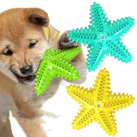 HKM-1316541 Starfish Molar Stick Dog Toy for Teeth Cleaning and Chewing Fun