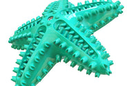 HKM-1316541 Starfish Molar Stick Dog Toy for Teeth Cleaning and Chewing Fun