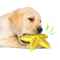 HKM-1316541 Starfish Molar Stick Dog Toy for Teeth Cleaning and Chewing Fun