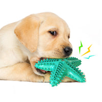 HKM-1316541 Starfish Molar Stick Dog Toy for Teeth Cleaning and Chewing Fun