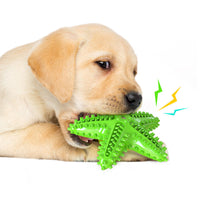 HKM-1316541 Starfish Molar Stick Dog Toy for Teeth Cleaning and Chewing Fun