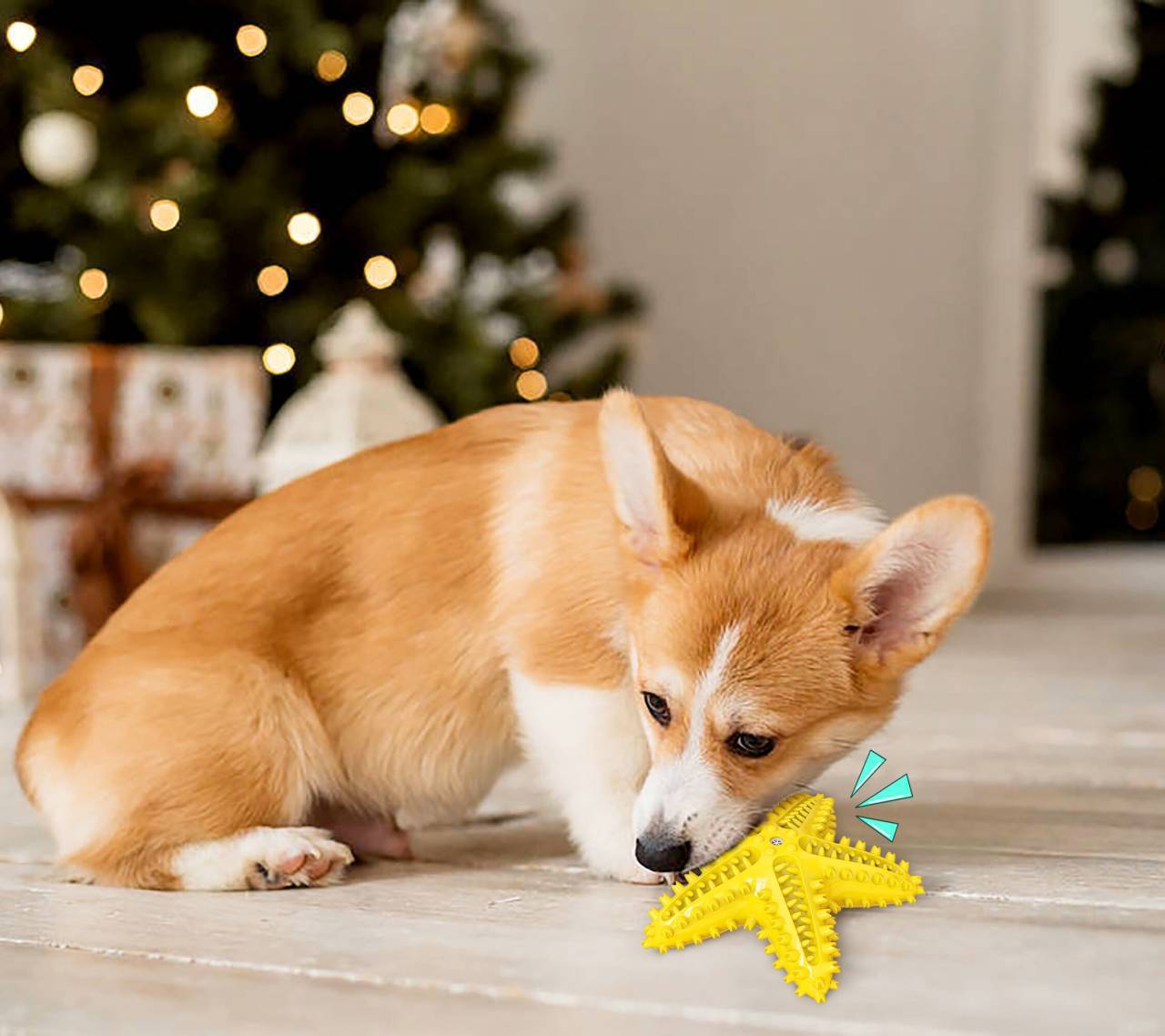 HKM-1316541 Starfish Molar Stick Dog Toy for Teeth Cleaning and Chewing Fun