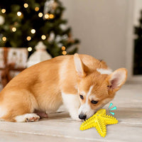 HKM-1316541 Starfish Molar Stick Dog Toy for Teeth Cleaning and Chewing Fun