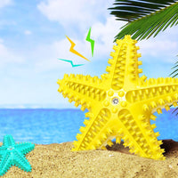 HKM-1316541 Starfish Molar Stick Dog Toy for Teeth Cleaning and Chewing Fun