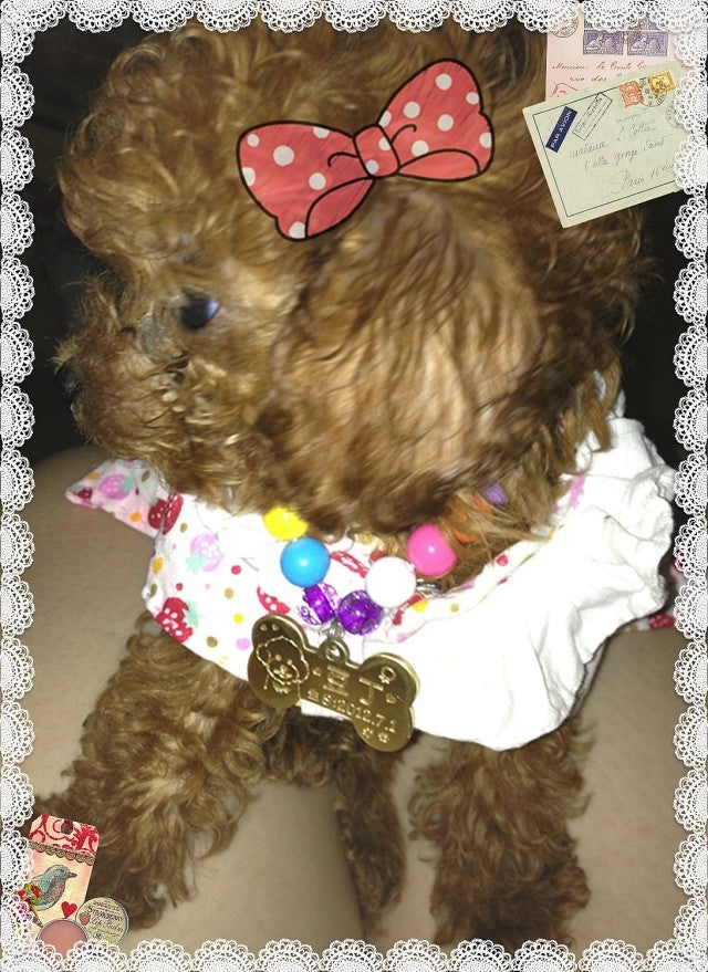 HKM-1317565 Custom Brass Pet Pendant ¨C Small or Large Bone Shape ¨C Personalized Dog ID Tag