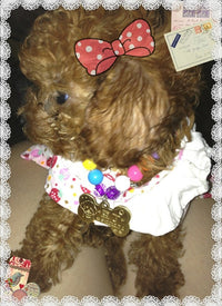 HKM-1317565 Custom Brass Pet Pendant ¨C Small or Large Bone Shape ¨C Personalized Dog ID Tag