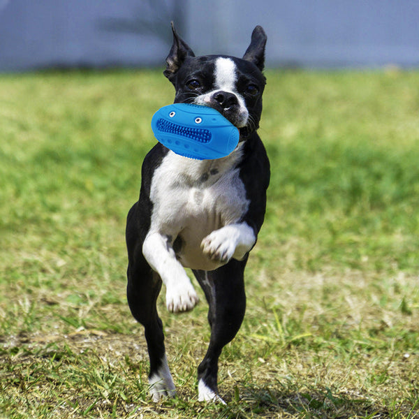 HKM-1320125 Natural Rubber Molar Pet Toy in Various Colors for Engaging Playtime