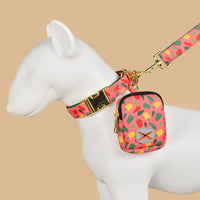 HKM-1321277 Pet Hand Holding Rope with Garbage Container in Multiple Colors