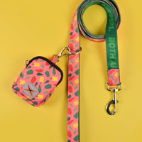 HKM-1321277 Pet Hand Holding Rope with Garbage Container in Multiple Colors