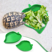 HKM-1321661 Reptile Food and Water Dish Set for Tortoises, Lizards, Bearded Dragons, and Small Snakes - 2 Sizes Available