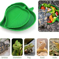 HKM-1321661 Reptile Food and Water Dish Set for Tortoises, Lizards, Bearded Dragons, and Small Snakes - 2 Sizes Available