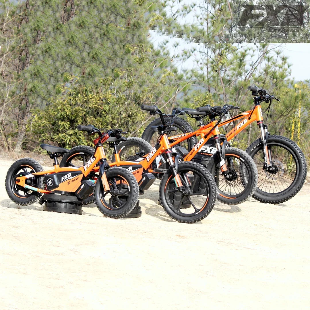HKM-132435 16-Inch Balance Bike for Toddlers - Electric BMX Cycle for Kids with Disc Brake & Rear Hub Motor