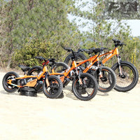 HKM-132435 16-Inch Balance Bike for Toddlers - Electric BMX Cycle for Kids with Disc Brake & Rear Hub Motor