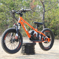 HKM-132435 16-Inch Balance Bike for Toddlers - Electric BMX Cycle for Kids with Disc Brake & Rear Hub Motor