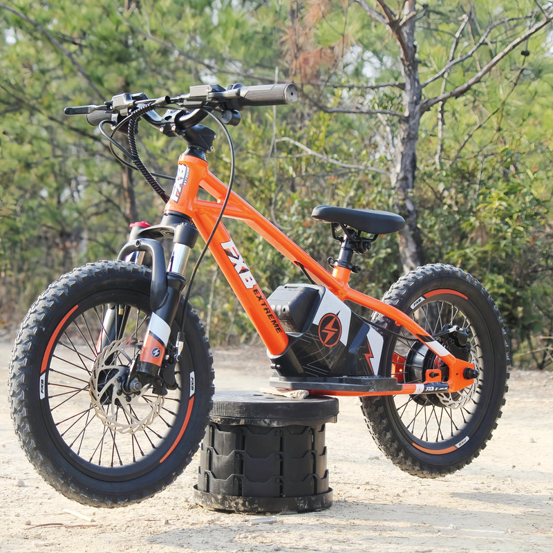 HKM-132435 16-Inch Balance Bike for Toddlers - Electric BMX Cycle for Kids with Disc Brake & Rear Hub Motor