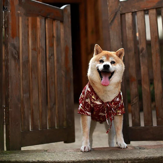HKM-132627 Japanese Style Dog Kimono Shirt for Pets - Comfortable Cloth T-Shirt in Blue and Red