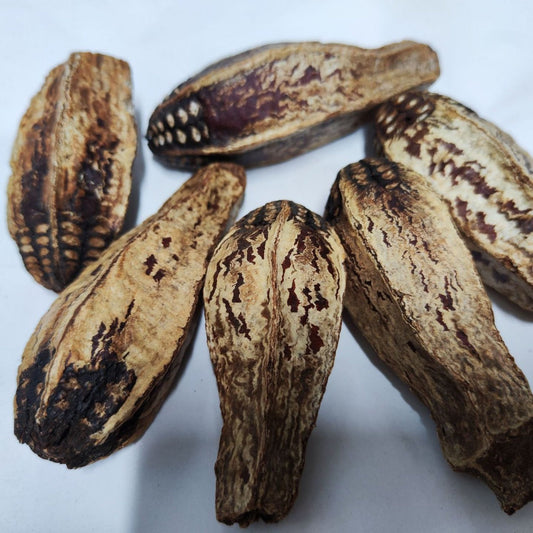 HKM-1341373 Dried Carambola Core Toy for Pet Birds - Edible Wooden Accessory