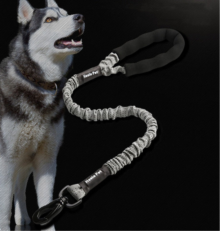 HKM-134291 Elastic Dog Traction Rope with Neoprene Handle and Zinc Alloy Chuck, Suitable for Medium to Large Dogs