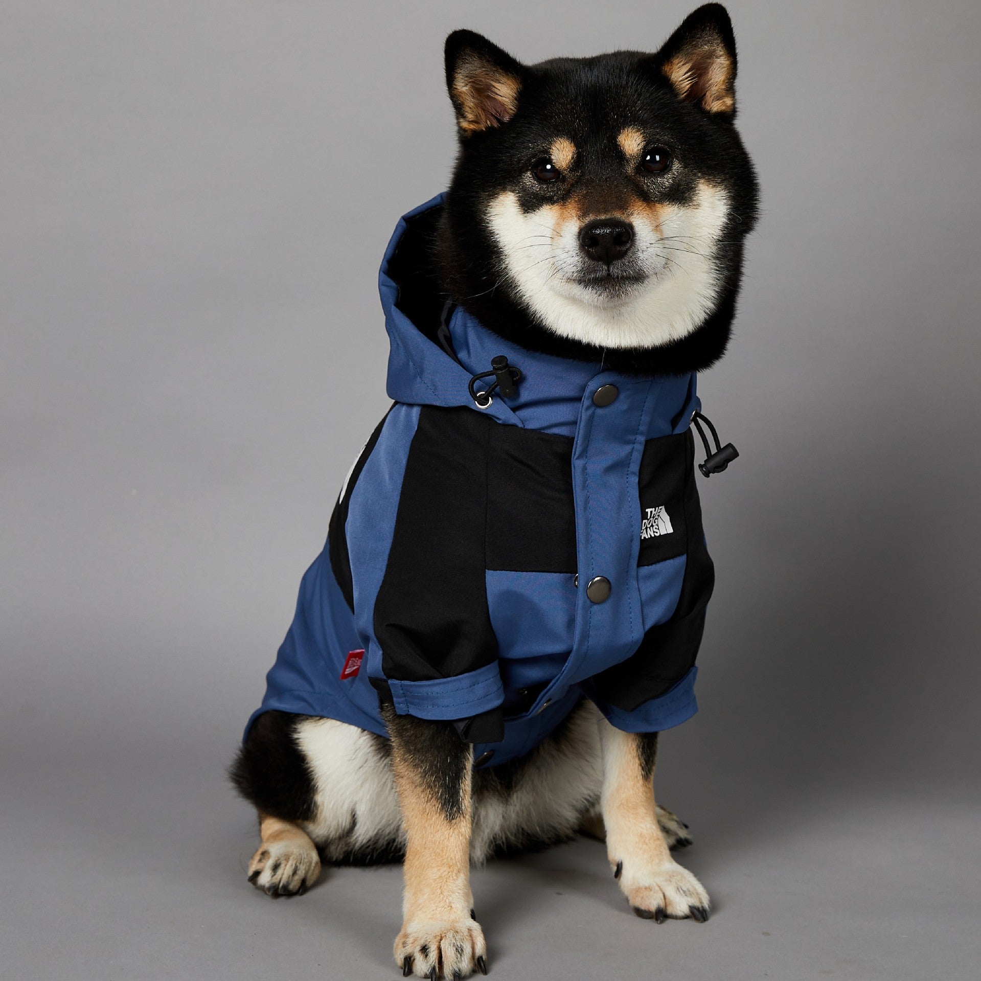 HKM-1346109 Durable Blue Denim Raincoat for Large Dogs - Windproof and Waterproof Pet Jacket