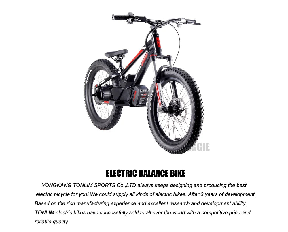 HKM-134739 20-Inch Electric Balance Bike with 36V Lithium Battery, 800W Motor, Hydraulic Disc Brakes, Ideal for Kids