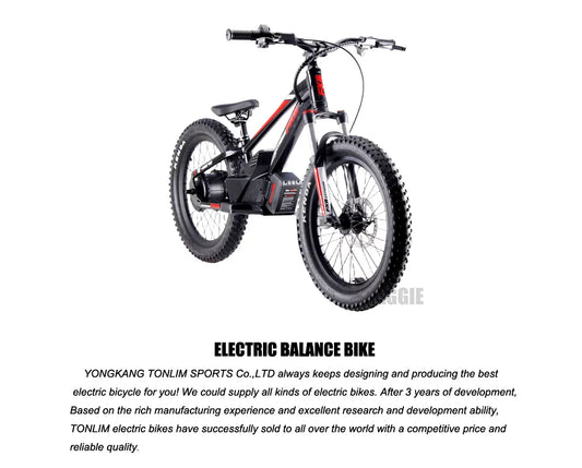 HKM-134739 20-Inch Electric Balance Bike with 36V Lithium Battery, 800W Motor, Hydraulic Disc Brakes, Ideal for Kids