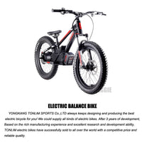 HKM-134739 20-Inch Electric Balance Bike with 36V Lithium Battery, 800W Motor, Hydraulic Disc Brakes, Ideal for Kids