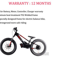 HKM-134739 20-Inch Electric Balance Bike with 36V Lithium Battery, 800W Motor, Hydraulic Disc Brakes, Ideal for Kids