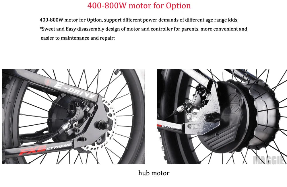 HKM-134739 20-Inch Electric Balance Bike with 36V Lithium Battery, 800W Motor, Hydraulic Disc Brakes, Ideal for Kids