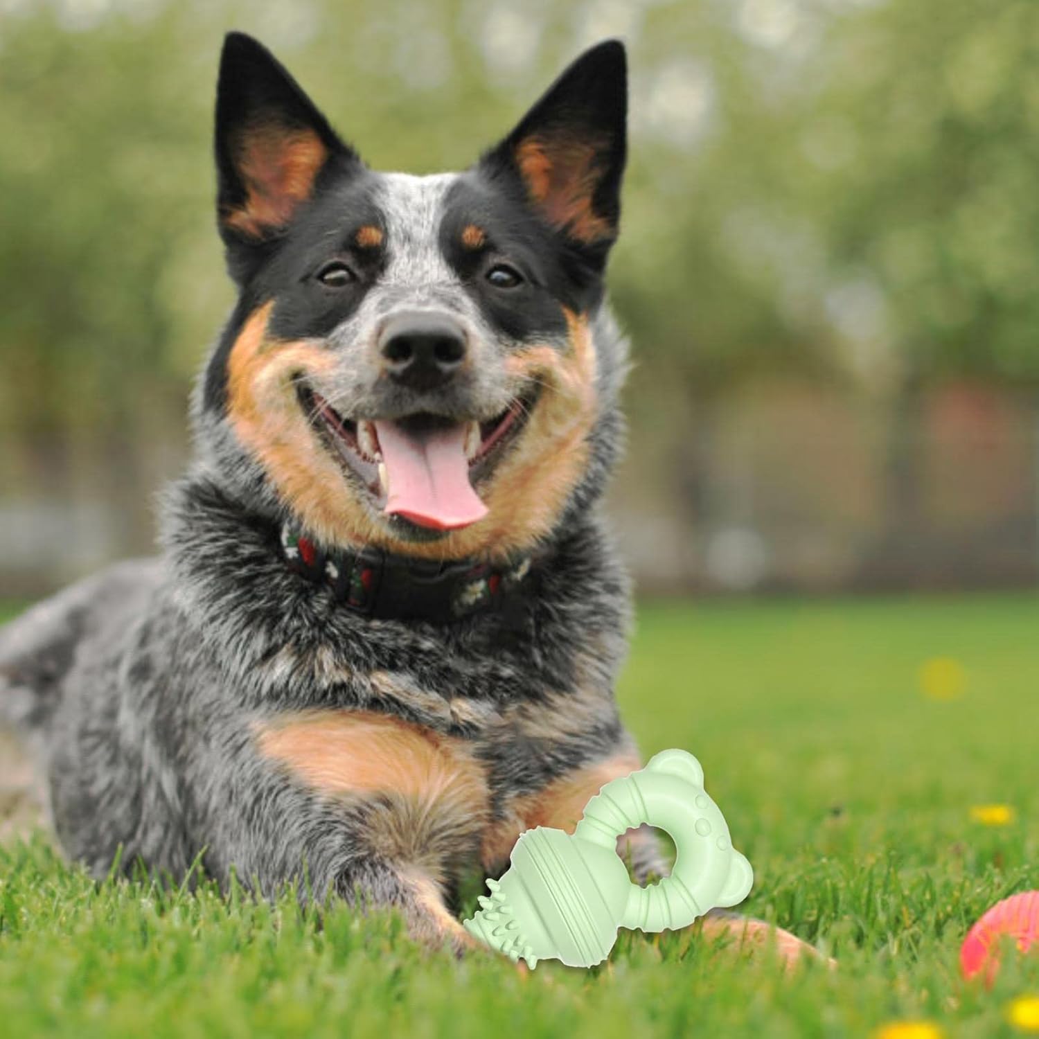 HKM-1351741 Durable Teeth Cleaning Rubber Chew Toy for Dogs and Cats - Ideal for Aggressive Chewers