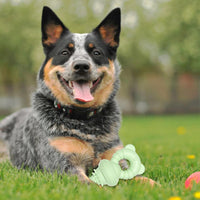 HKM-1351741 Durable Teeth Cleaning Rubber Chew Toy for Dogs and Cats - Ideal for Aggressive Chewers