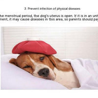 HKM-1352637 Dog Menstrual Panties in Various Colors for Comfortable Pet Care
