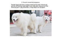 HKM-1352637 Dog Menstrual Panties in Various Colors for Comfortable Pet Care