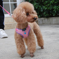 HKM-1353533 Breathable PU Mesh Vest-Style Harness with Adjustable Straps and Durable Copper Bell for Pets