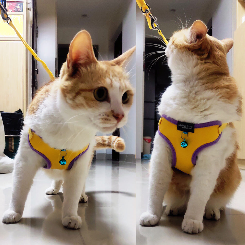 HKM-1353533 Breathable PU Mesh Vest-Style Harness with Adjustable Straps and Durable Copper Bell for Pets