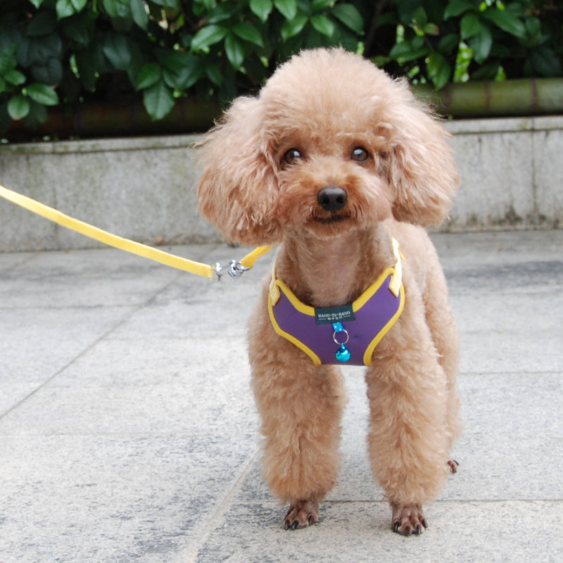 HKM-1353533 Breathable PU Mesh Vest-Style Harness with Adjustable Straps and Durable Copper Bell for Pets