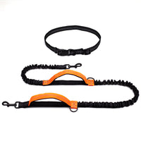 HKM-1354045 Reflective Telescopic Dog Leash with Adjustable Traction Belt in Multiple Colors