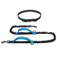 HKM-1354045 Reflective Telescopic Dog Leash with Adjustable Traction Belt in Multiple Colors