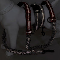 HKM-1354045 Reflective Telescopic Dog Leash with Adjustable Traction Belt in Multiple Colors