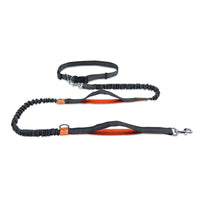 HKM-1354045 Reflective Telescopic Dog Leash with Adjustable Traction Belt in Multiple Colors