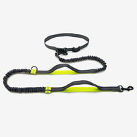 HKM-1354045 Reflective Telescopic Dog Leash with Adjustable Traction Belt in Multiple Colors