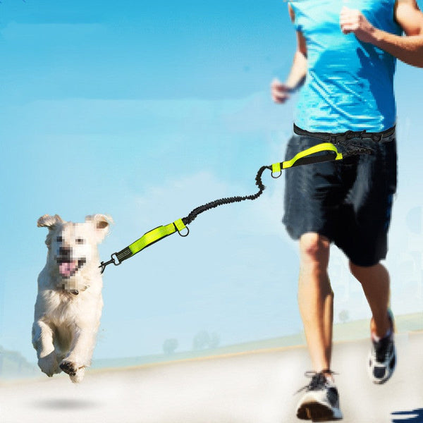 HKM-1354045 Reflective Telescopic Dog Leash with Adjustable Traction Belt in Multiple Colors