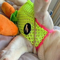 HKM-1354813 Summer Breathable Sun Protection Vest for Dogs - Orange and Green, Multiple Sizes Available