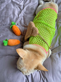 HKM-1354813 Summer Breathable Sun Protection Vest for Dogs - Orange and Green, Multiple Sizes Available