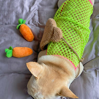 HKM-1354813 Summer Breathable Sun Protection Vest for Dogs - Orange and Green, Multiple Sizes Available