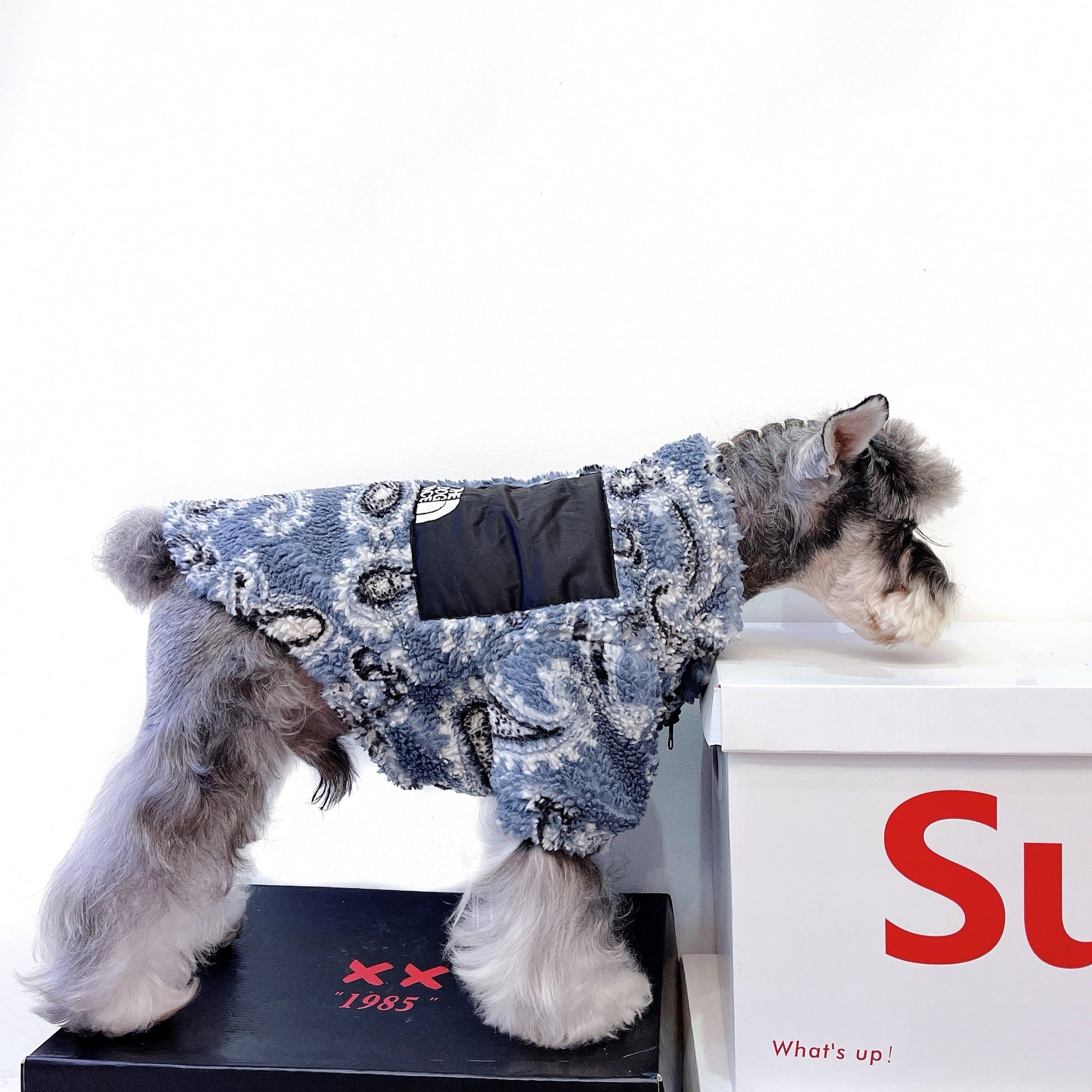 HKM-1358397 Cozy Velvet Clothing for Cats and Small Dogs in Multiple Sizes