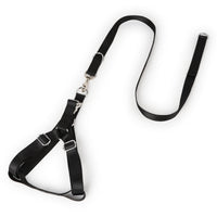HKM-1359805 Buckle Chest and Back Traction Rope with Adjustable Leash and Solid Color Options