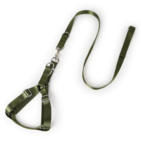 HKM-1359805 Buckle Chest and Back Traction Rope with Adjustable Leash and Solid Color Options