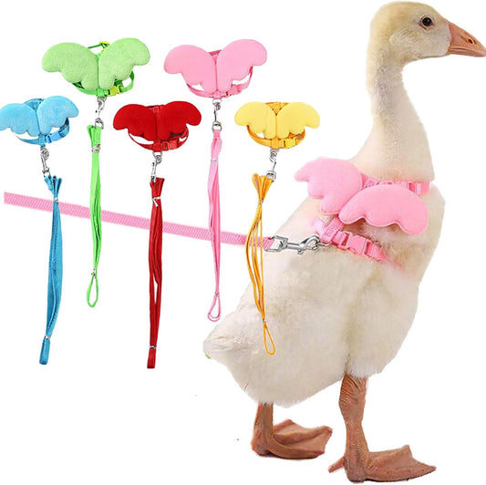 HKM-1361469 Adjustable Harness with Wings and Leash for Chickens, Ducks, Geese, Hens, and Small Pets
