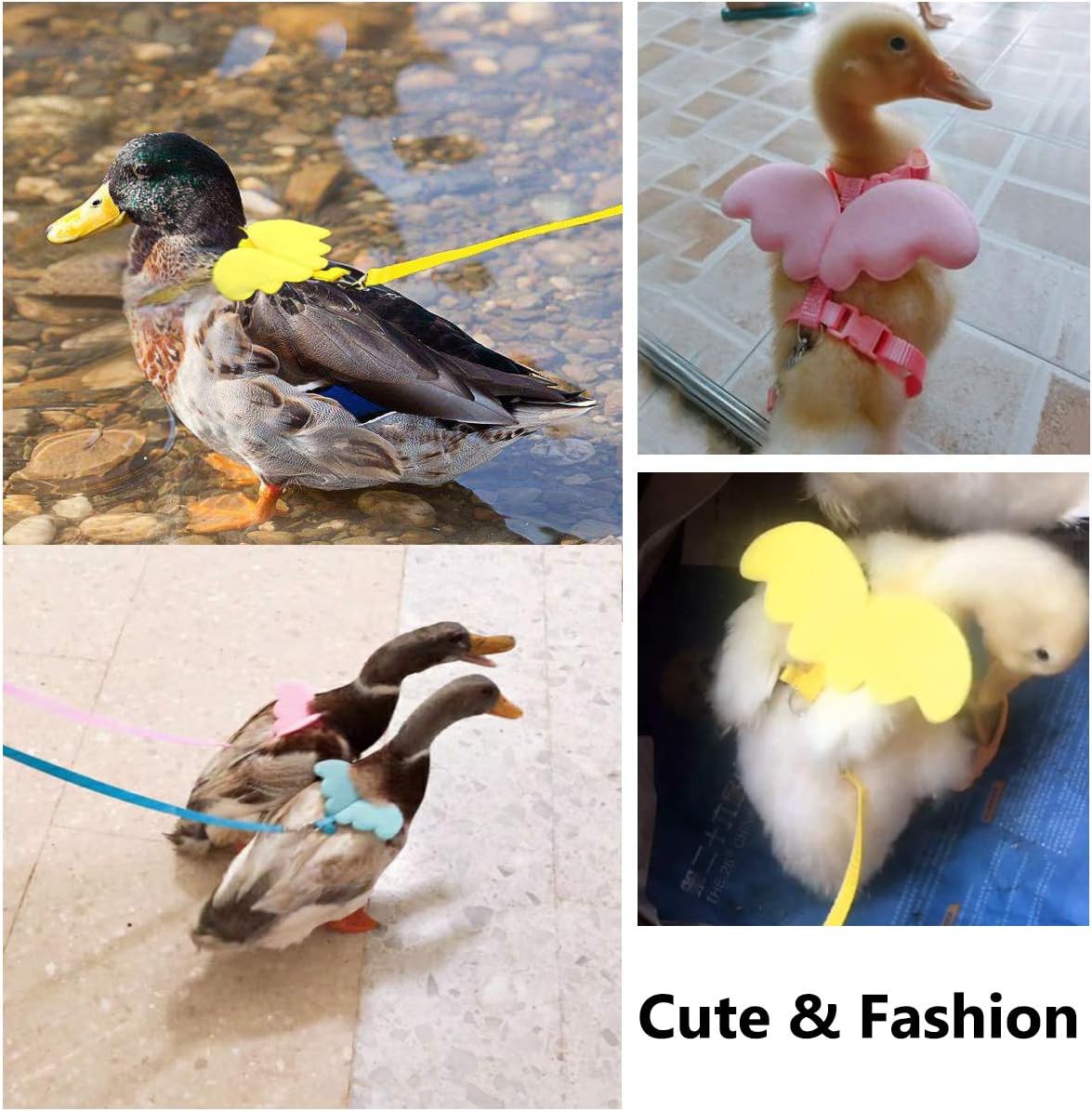 HKM-1361469 Adjustable Harness with Wings and Leash for Chickens, Ducks, Geese, Hens, and Small Pets